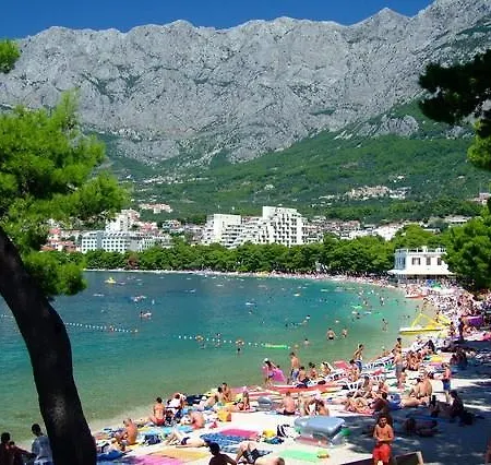 Апартаменти Dimitrijevic *