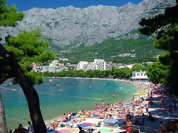 Apartment Dimitrijevic *